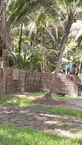  فیلم مبارزه دیدنی سگ با گراز وحشی