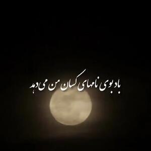  (ویدئو) یادی کنیم از دکلمه دلنشین و جگرسوز استاد خسرو شکیبایی از سید علی صالحی / حال همه ما خوب است اما تو باور نکن...