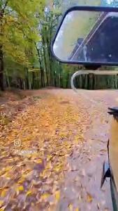  فال ابجد واقعی 12 آبان