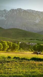  فیلم مناظر سرسبز در دامنه اشترانکوه