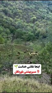  فیلم طبیعت دیدنی مسیر بلوردکان