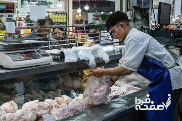  زنگ خطر در بازار؛ مرغ کیلویی ۲۵۰ هزار می‌شود؟