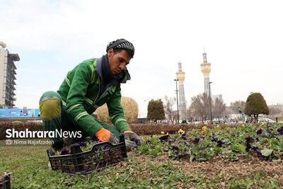  قرارداد ۲۵ ساله خرید پساب برای حفظ نیمی از فضای سبز مشهد اجرایی شد