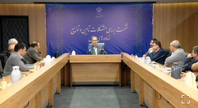  روایت بازرس کل امور جهادکشاورزی و محیط زیست سازمان بازرسی از بررسی عملیاتی ایرادات سامانه بازارگاه/ عدم شفافیت مهم‌ترین مشکل در تامین نهاده‌های دامی + فیلم