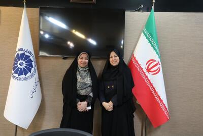  پیوند دولت و بخش خصوصی برای حمایت از زنان کارآفرین در فارس/ اجرای طرح زنان کارآفرین مسئول