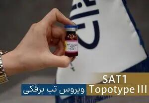  شناسایی سویه جدید ویروس تب‌برفکی SAT۱ در تهران