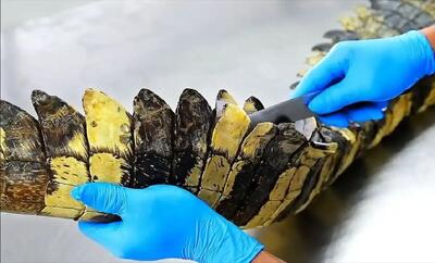  پخت ناگت با گوشت کروکودیل در خیابان‌های بانکوک (فیلم)