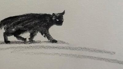  مجموعه‌ای جذاب از گربه‌های سیاه؛ رونمایی از اسکچ جدید با زغال (تصویری)