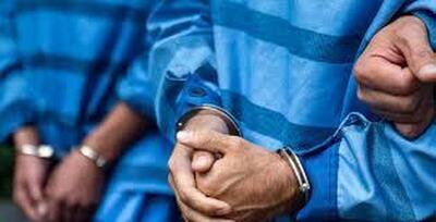  باند قاچاق پرندگان شکاری در تفت متلاشی شد