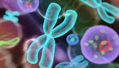  استفاده از سلول‌های بنیادی خون قاعدگی در درمان اختلالات تولید مثل