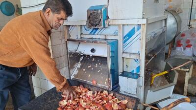  طرح منظومه روستایی؛ موتور محرک توسعه و اشتغال پایدار در کهگیلویه و بویراحمد