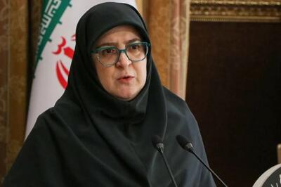  مهاجرانی: هر یک از زوجین می‌توانند یکی از دو تسهیلات وام ازدواج یا کارت رفاه را دریافت کنند