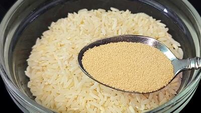  مخمر را با برنج مخلوط کنید، طرز تهیه غذای سریع و خوشمزه با برنج و مخمر