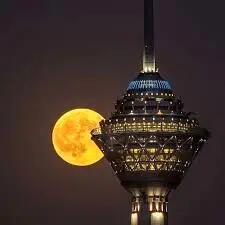  فردا شب همه به آسمان نگاه می‌کنند