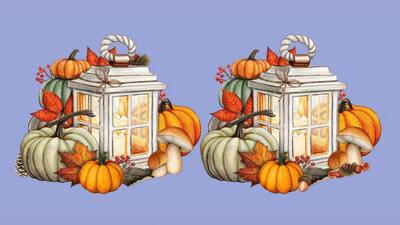  چشمانتان را تیز کنید و تمرکز کنید تا بتوانید ۴ تفاوت بین فانوس‌های پاییزی را فقط در 8 ثانیه پیدا کنید؟