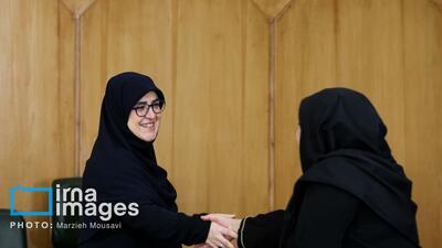  گزارش تصویری/  نشست خبری سخنگوی دولت