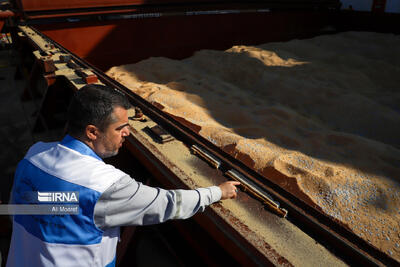  روایت بی پرده از بازارگاه؛ سهمیه‌ نهاده برای دام‌های خیالی