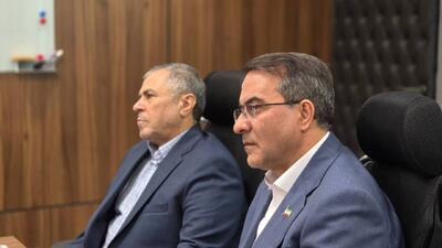  رفیع‌زاده: حمایت همه‌جانبه دستگاه‌های دولتی برای تداوم فواد ضروری است