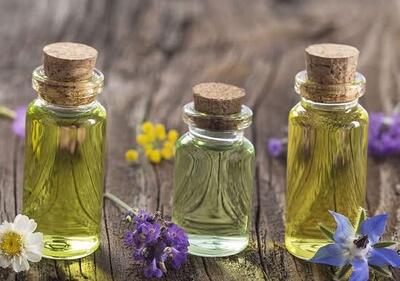 عطر طبیعت در خدمت داروسازی/ رایحه دل‌انگیز گیاهان دارویی تنها برای لذت بوییدن نیست