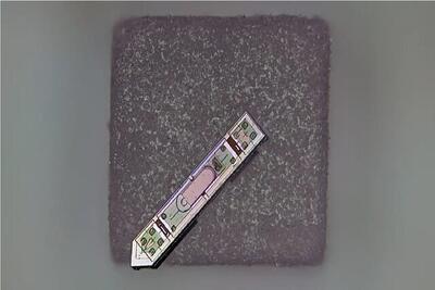  ابداع یک ایمپلنت مغزی کوچک‌تر از یک دانه نمک!