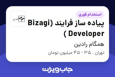  استخدام پیاده ساز فرایند (Bizagi Developer ) در همگام رادین