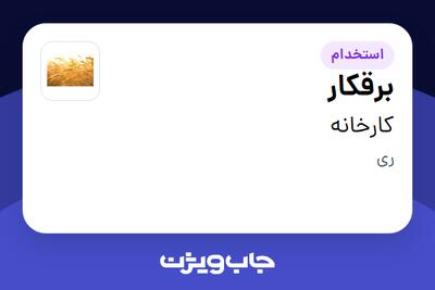  استخدام برقکار - آقا در کارخانه
