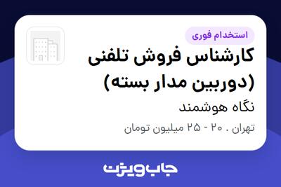  استخدام کارشناس فروش تلفنی (دوربین مدار بسته) - خانم در نگاه هوشمند