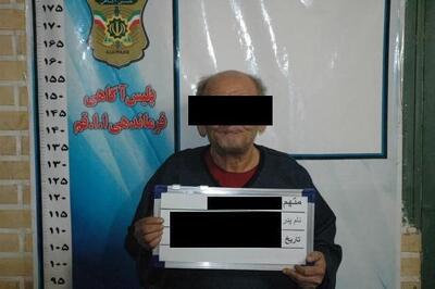  بازداشت پیرترین دزد کشور در بهارستان