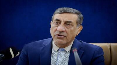  قائم‌پناه: دولت برای هر لیتر بنزین حدود ۳۶ هزار تومان یارانه پرداخت می‌کند - مردم سالاری آنلاین