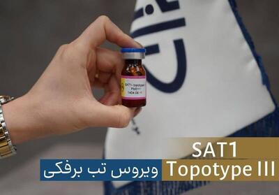  شناسایی سویه جدید ویروس تب‌برفکی SAT۱ در تهران/ واکسن به سرعت تولید شد