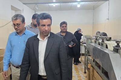  ظرفیت و کیفیت کارگاه‌های کنجدی هرنگ بستک بررسی شد