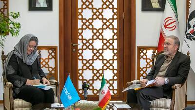  ذوالفقاری: لزوم انعکاس جهانی تجارب موفق ایران و «یونیسف» در زمینه پیشگیری از اعتیاد/ مخدرهای عجیب و غریب به سرعت در دنیا در حال گسترش است