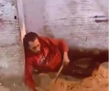  فیلم حمله شدید قوچ به مرد در دامداری