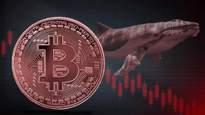  هشدار نهنگ معروف صرافی هایپرلیکویید: سقوط بزرگ بیت‌ کوین و بازار بورس در راه است!