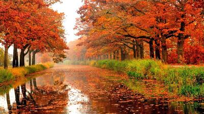  این استان‌ها منتظر بارندگی و کاهش دما باشند / وضعیت هوای کشور تا اواخر آذرماه