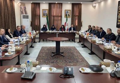  برگزاری کمیسیون مشترک کنسولی جمهوری اسلامی ایران و لهستان - تسنیم