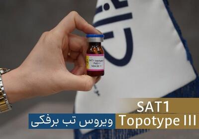 شناسایی سویه جدید ویروس تب‌برفکی SAT1 در تهران/ واکسن به سرعت تولید شد - تسنیم