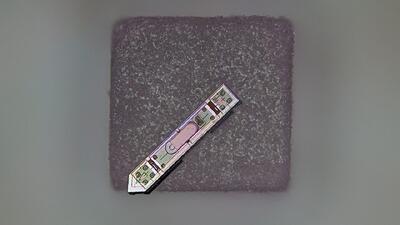  ثبت فعالیت مغز به مدت یک سال با ایمپلنت عصبی کوچک‌تر از دانه نمک