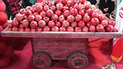  کاهش ۳۵ درصدی لایه داخلی شریان کاروتید با نوشیدن آب انار