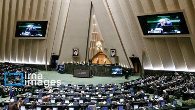  نمایندگان مجلس: از تمامی ظرفیت های قانونی برای حمایت از ضابطان قانون استفاده می کنیم