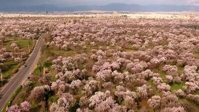  ثبت جهانی باغستان سنتی قزوین به عنوان یکی از نظام‌های میراثی کشاورزی
