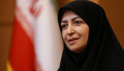  رییس سازمان حفاظت محیط زیست عازم برزیل می‌شود