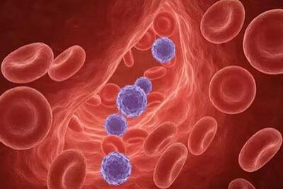  چهل و هشتمین سیستم گروه خونی انسان کشف شد