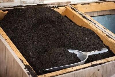  آغاز ثبت سفارش چای از شنبه ۱۷ آبان ۱۴۰۴