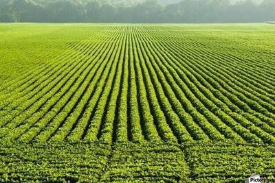  تثبیت بیش از ۲  هزار هکتار به عنوان اراضی غیرملی در کمیسیون رفع تداخلات لرستان