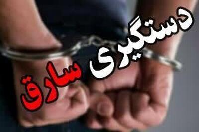  ۳۵ فقره سرقت قطعات خودرو در کرمانشاه کشف شد/ ۷ سارق در دام پلیس