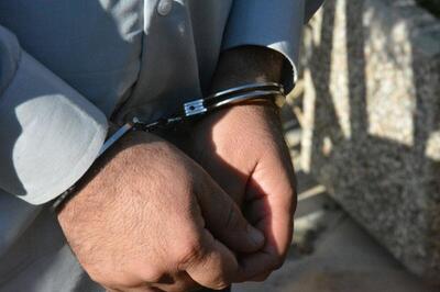  کار سارق با شلیک پلیس نیمه تمام ماند