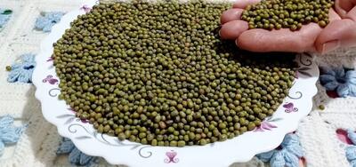  طرز تهیه ماش پلو خوشمزه / صد برابر خوشمزه تز از گوشت