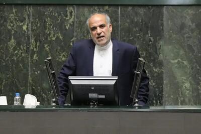  زارعی: مجلس باید در خصوص حذف ارز ترجیحی تصمیم بگیرد