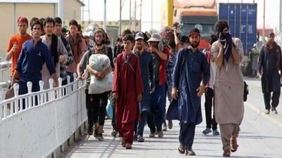 مرز ناموس کشور است؛ حضور بدون ساماندهی اتباع، تهدیدی برای امنیت و اقتصاد کشور